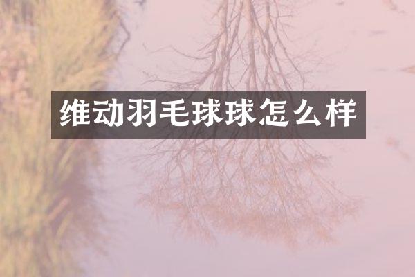 维动羽毛球球怎么样