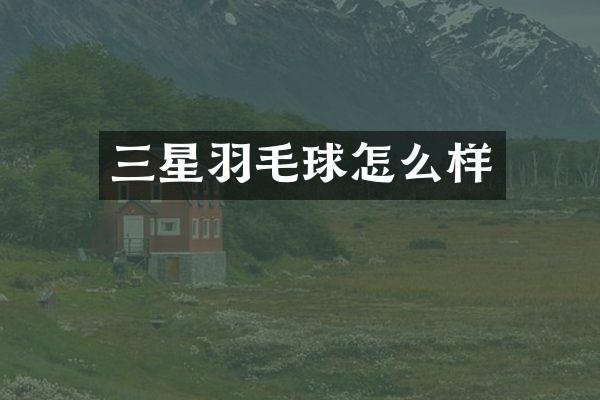 三星羽毛球怎么样