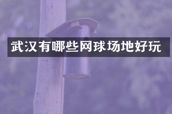 武汉有哪些网球场地好玩