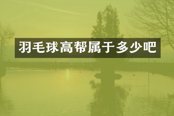 羽毛球高帮属于多少吧