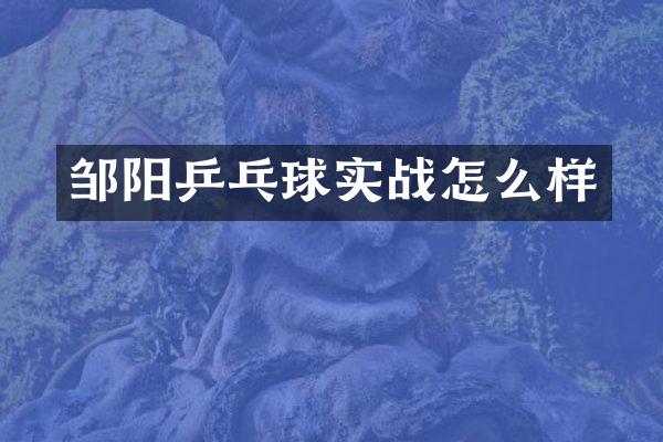 邹阳乒乓球实战怎么样