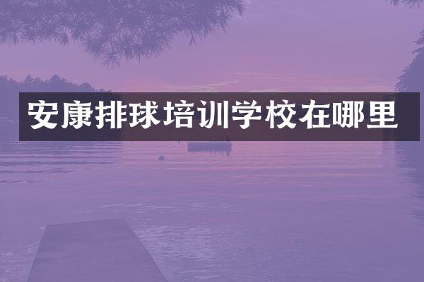 安康排球培训学校在哪里