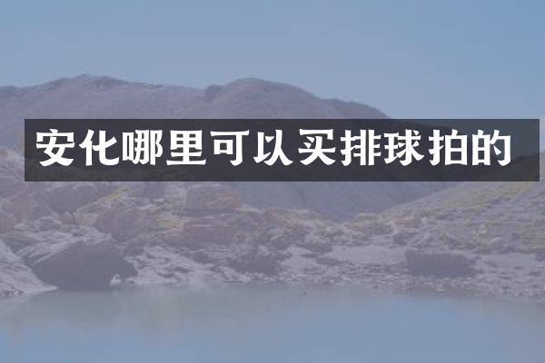 安化哪里可以买排球拍的