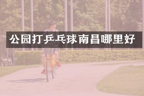 公园打乒乓球南昌哪里好