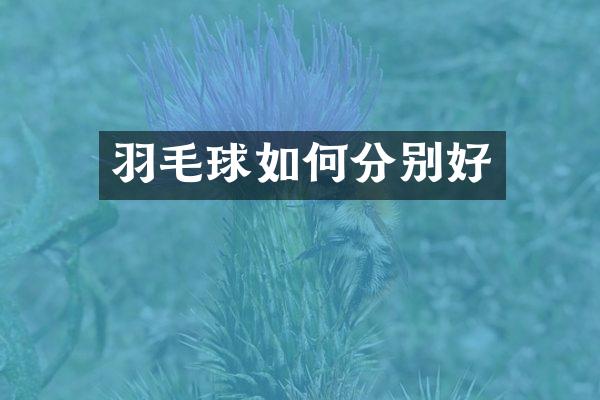 羽毛球如何分别好