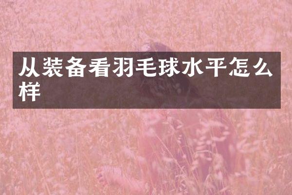 从装备看羽毛球水平怎么样