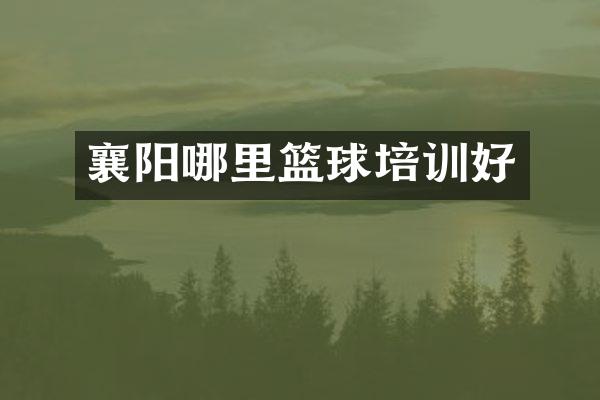 襄阳哪里篮球培训好