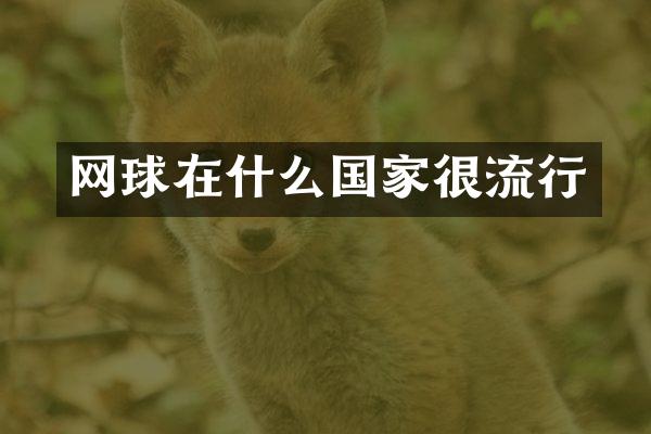 网球在什么国家很流行