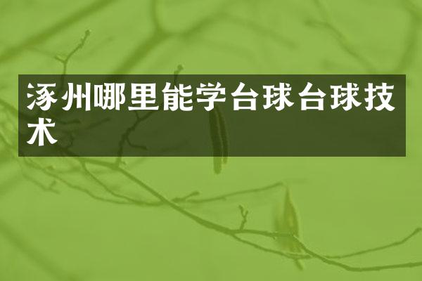 涿州哪里能学台球台球技术