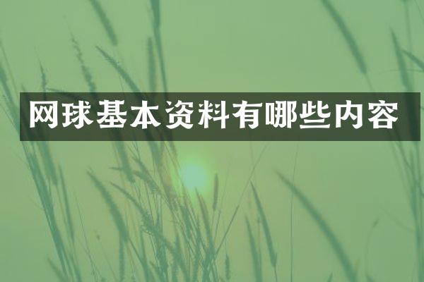 网球基本资料有哪些内容