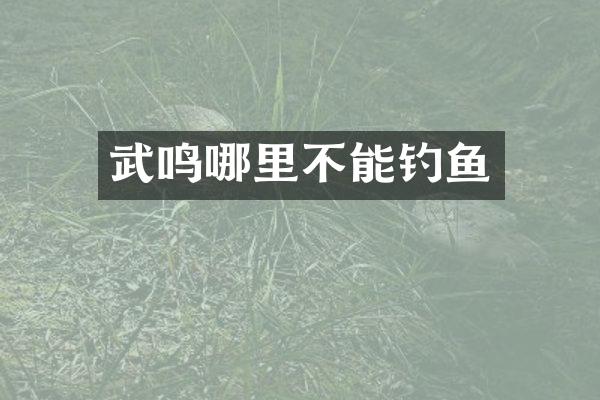 武鸣哪里不能钓鱼