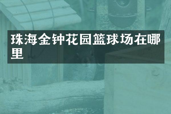 珠海金钟花园篮球场在哪里