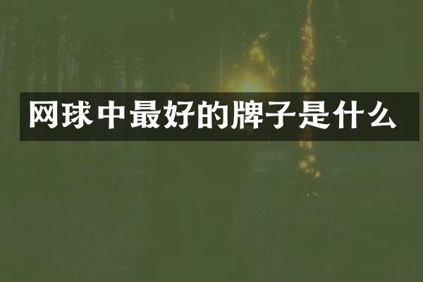 网球中最好的牌子是什么