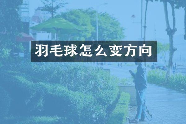 羽毛球怎么变方向