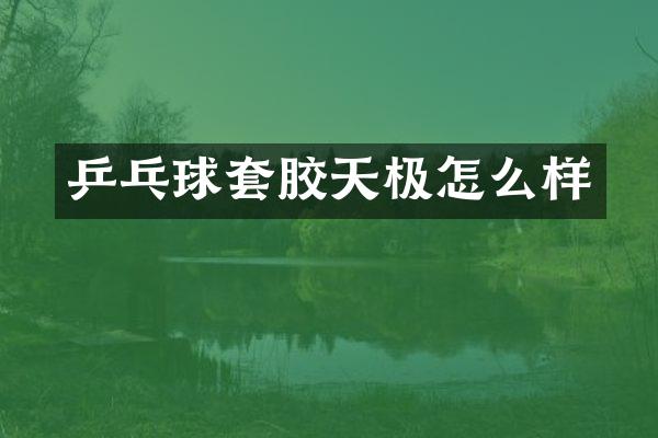 乒乓球套胶天极怎么样