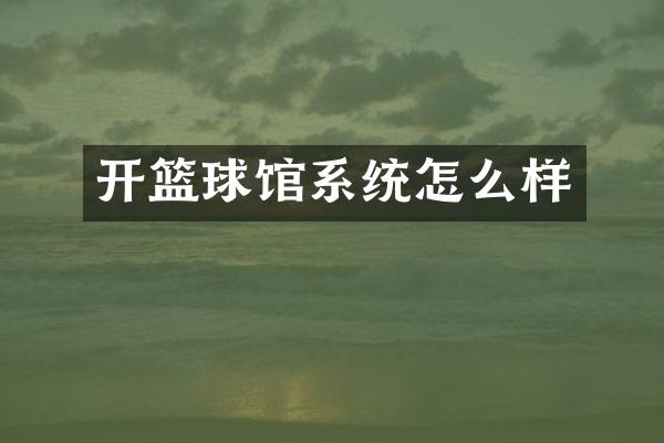开篮球馆系统怎么样