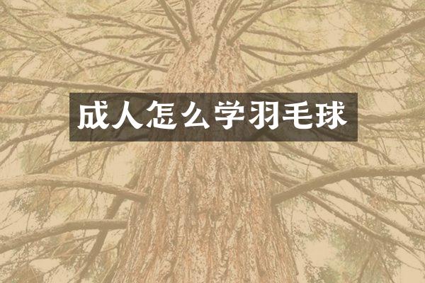 成人怎么学羽毛球