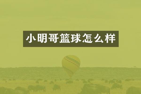 小明哥篮球怎么样