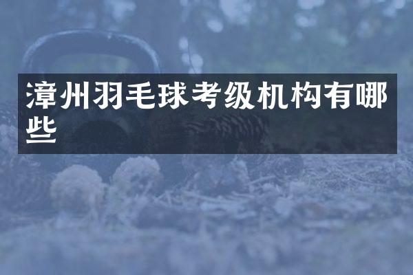 漳州羽毛球考级机构有哪些
