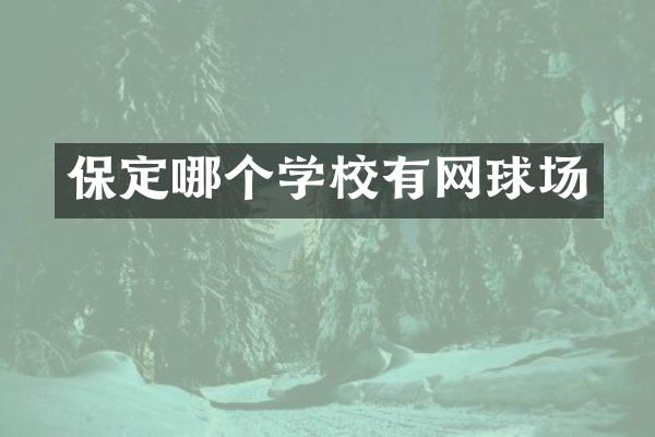 保定哪个学校有网球场