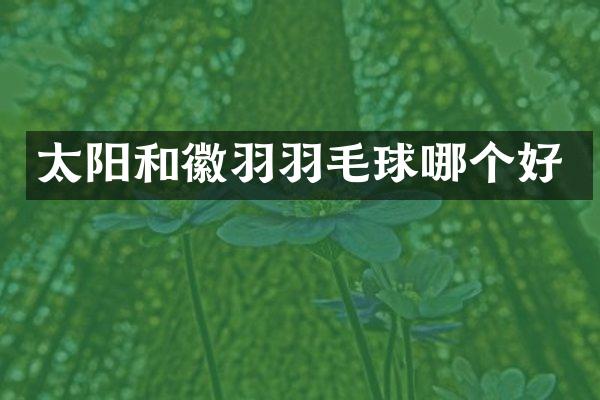 太阳和徽羽羽毛球哪个好