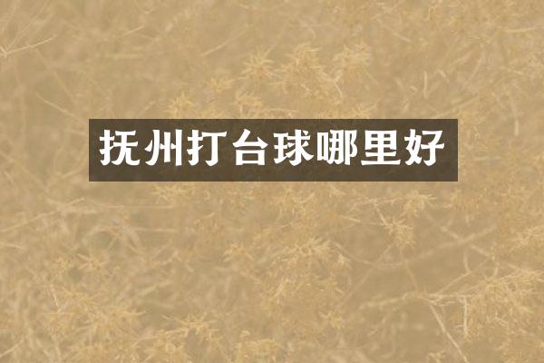 抚州打台球哪里好