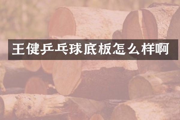 王健乒乓球底板怎么样啊