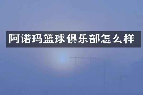 阿诺玛篮球俱乐部怎么样
