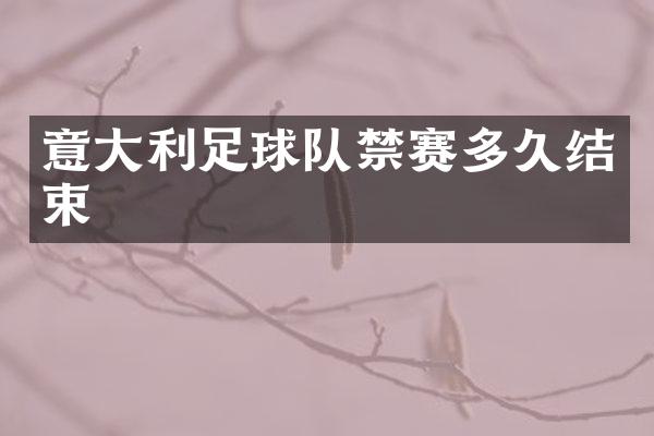 意大利足球队禁赛多久结束