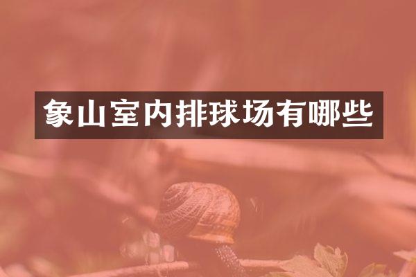 象山室内排球场有哪些