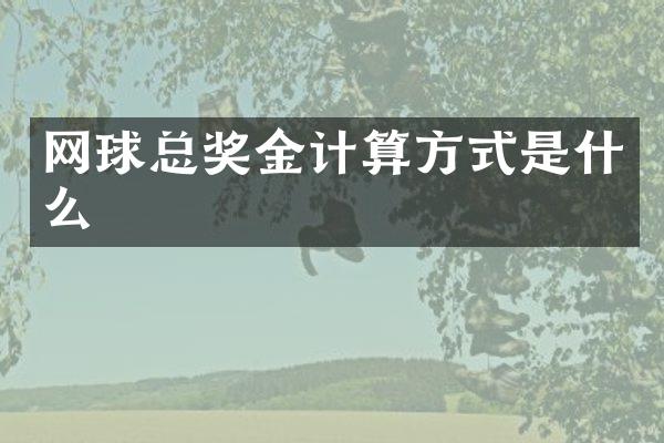 网球总奖金计算方式是什么