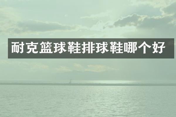 耐克篮球鞋排球鞋哪个好