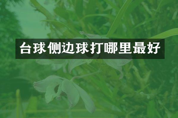 台球侧边球打哪里最好