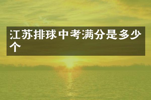 江苏排球中考满分是多少个