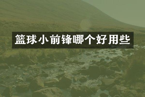 篮球小前锋哪个好用些
