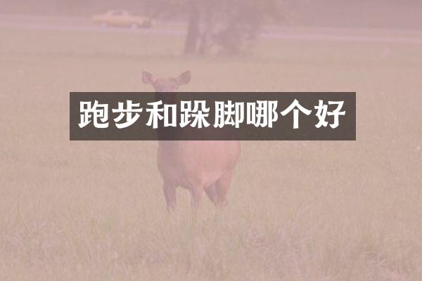 跑步和跺脚哪个好