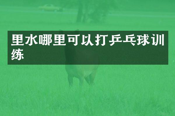 里水哪里可以打乒乓球训练