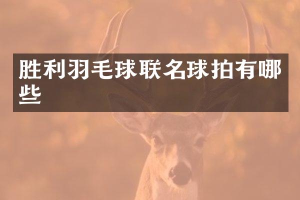 胜利羽毛球联名球拍有哪些