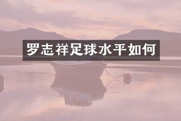 罗志祥足球水平如何