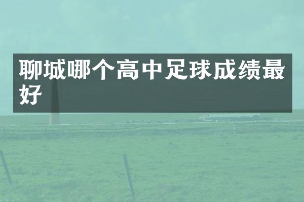 聊城哪个高中足球成绩最好
