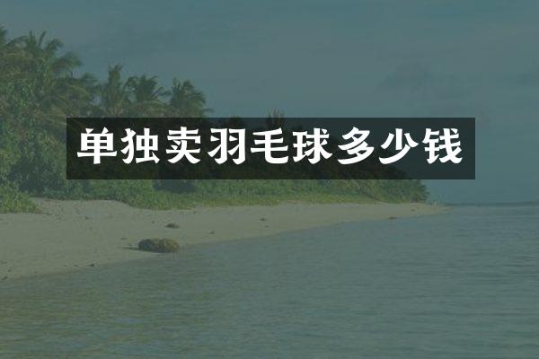 单独卖羽毛球多少钱