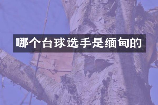 哪个台球选手是缅甸的