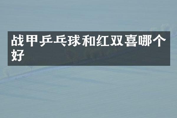 战甲乒乓球和红双喜哪个好