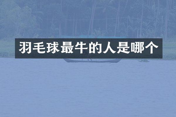 羽毛球最牛的人是哪个