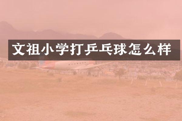 文祖小学打乒乓球怎么样