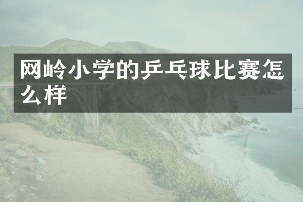 网岭小学的乒乓球比赛怎么样