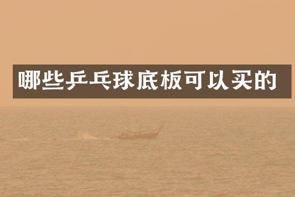 哪些乒乓球底板可以买的