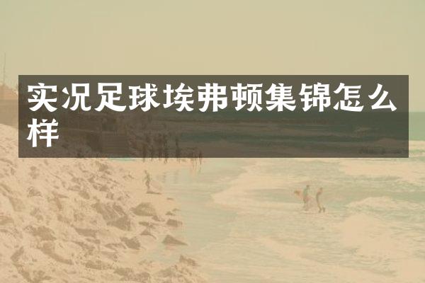 实况足球埃弗顿集锦怎么样