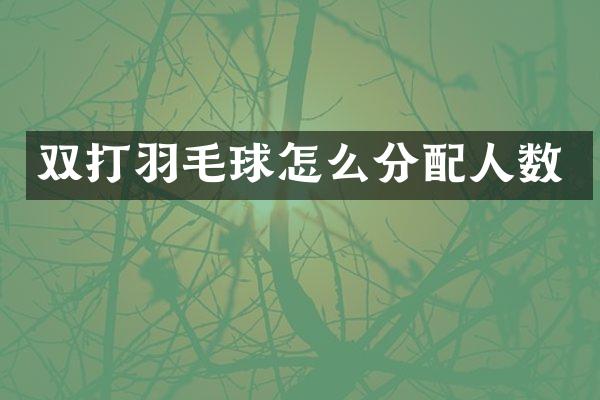 双打羽毛球怎么分配人数