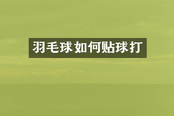 羽毛球如何贴球打